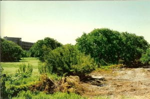 Rosewood Cemetery, 2000